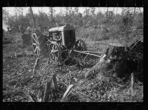 Untitled photo, possibly related to: Land clearing. Prince George's County, Maryland