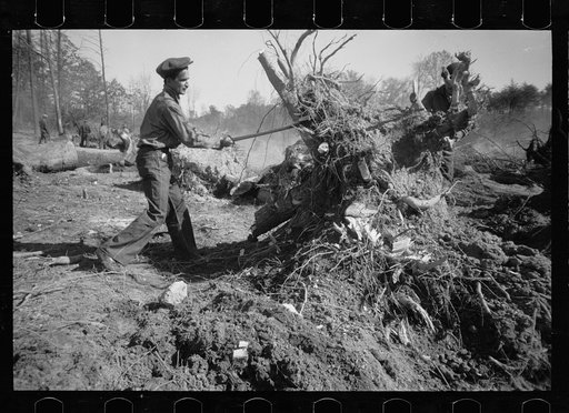 Transient worker clearing land, Prince George's County, Maryland