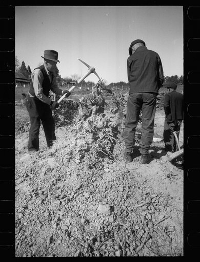 Transients clearing land, Prince George's County, Maryland