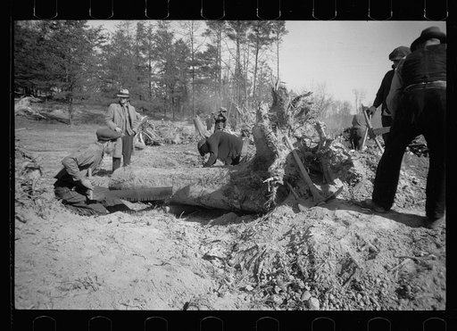 Untitled photo, possibly related to: Transient worker clearing land, Prince George's County, Maryland