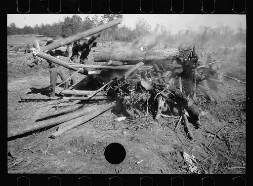 Untitled photo, possibly related to: Transient worker clearing land, Prince George's County, Maryland