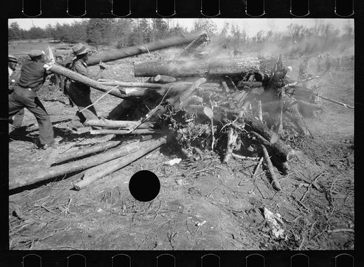 Untitled photo, possibly related to: Transient worker clearing land, Prince George's County, Maryland