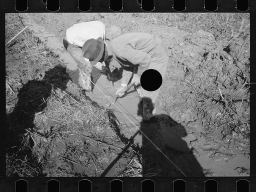 Untitled photo, possibly related to: Transient worker clearing land, Prince George's County, Maryland