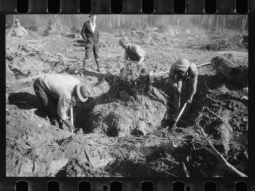 Untitled photo, possibly related to: Transient worker clearing land, Prince George's County, Maryland