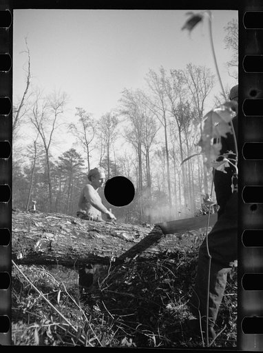Untitled photo, possibly related to: Transient worker clearing land, Prince George's County, Maryland