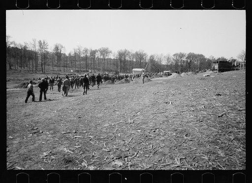 Untitled photo, possibly related to: Noon day call. Prince George's County, Maryland