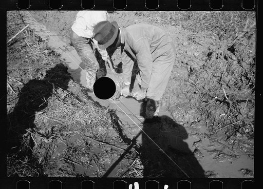 Untitled photo, possibly related to: Transient worker clearing land, Prince George's County, Maryland