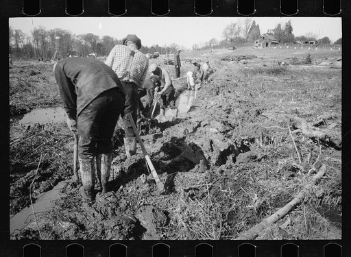 Transient workers clearing land, Prince George's County, Maryland