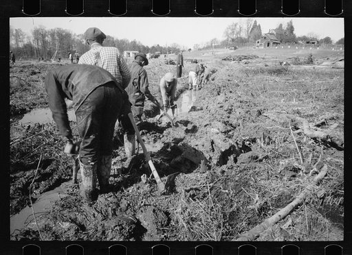 Untitled photo, possibly related to: Transient worker clearing land, Prince George's County, Maryland