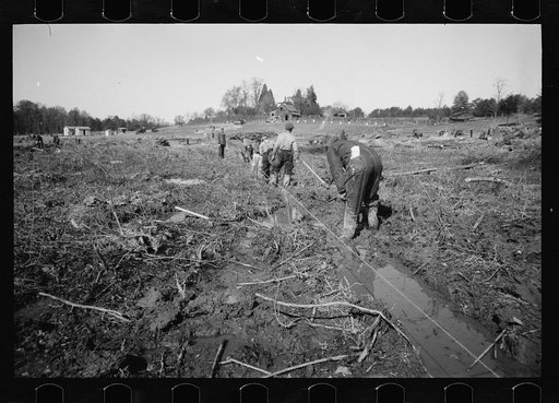 Untitled photo, possibly related to: Transient worker clearing land, Prince George's County, Maryland