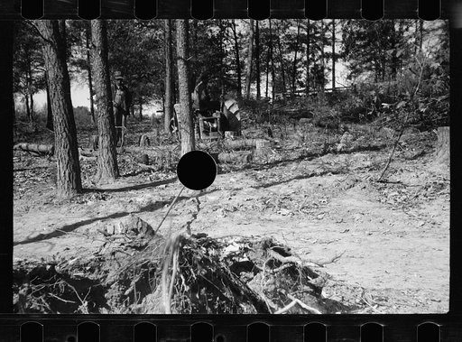Untitled photo, possibly related to: Transient worker clearing land, Prince George's County, Maryland