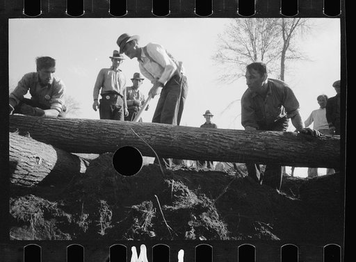 Untitled photo, possibly related to: Bridge building, Prince George's County, Maryland