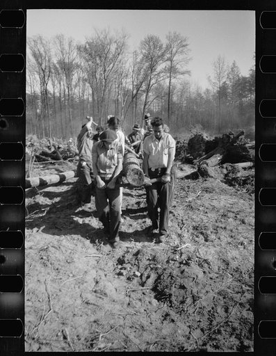 Untitled photo, possibly related to: Transients clearing land, Prince George's County, Maryland