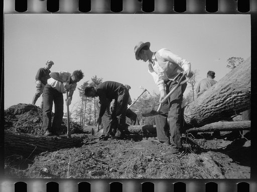 Untitled photo, possibly related to: Bridge building, Prince George's County, Maryland
