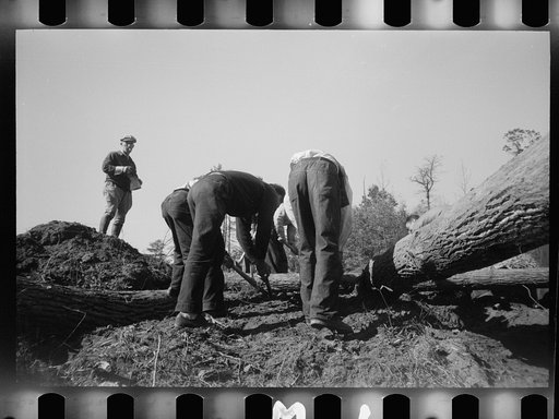 Untitled photo, possibly related to: Transients building bridge, Prince George's County, Maryland