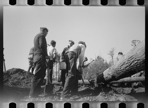 Untitled photo, possibly related to: Transients building bridge, Prince George's County, Maryland