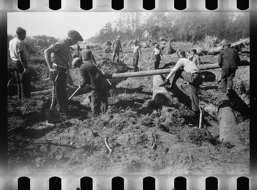 Transient workers clearing land, Prince George's County, Maryland