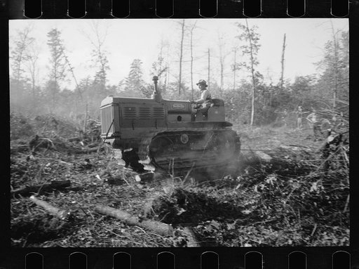 Untitled photo, possibly related to: Transients building bridge, Prince George's County, Maryland