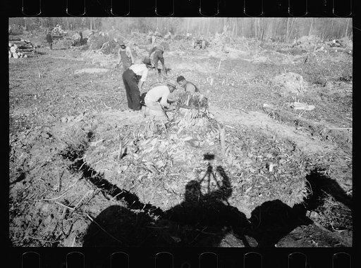 Untitled photo, possibly related to: Transients building bridge, Prince George's County, Maryland