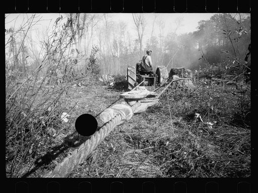Untitled photo, possibly related to: Transients building bridge, Prince George's County, Maryland