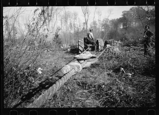 Untitled photo, possibly related to: Transients building bridge, Prince George's County, Maryland