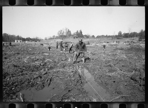 Transient workers clearing land, Prince George's County, Maryland