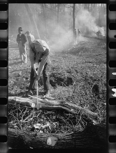 Transient workers clearing land, Prince George's County, Maryland