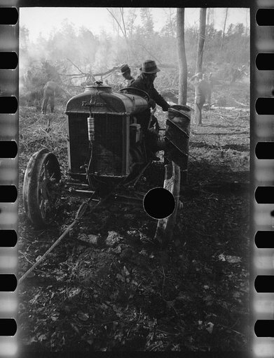 Untitled photo, possibly related to: Greenbelt, Maryland. Transient workers clearing land for a model community planned by the U.S. Resettlement Administration