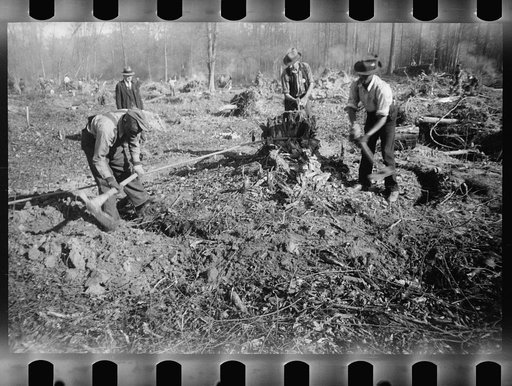 Untitled photo, possibly related to: Greenbelt, Maryland. Transient workers clearing land for a model community planned by the U.S. Resettlement Administration