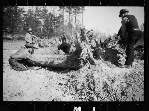 Transient workers clearing land, Prince George's County, Maryland