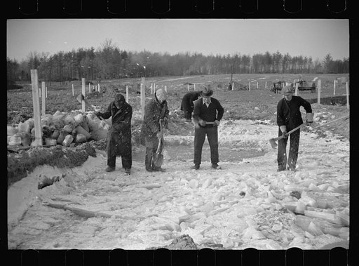 Winter at Berwyn project, Maryland