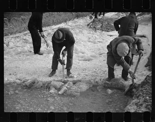 Untitled photo, possibly related to: Winter at Berwyn project, Berwyn, Maryland