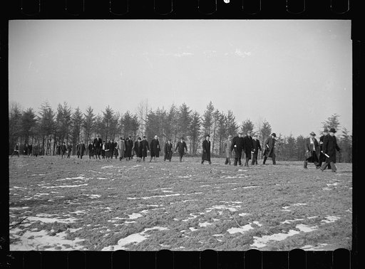 Untitled photo, possibly related to: Winter at Berwyn project, Berwyn, Maryland