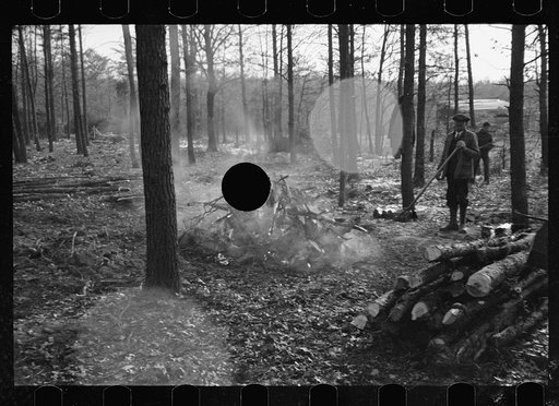 Untitled photo, possibly related to: Winter at Berwyn project, Berwyn, Maryland