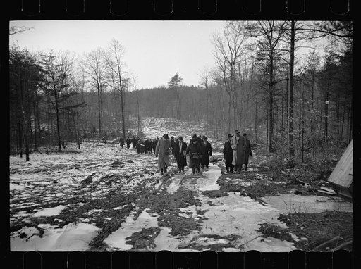 Untitled photo, possibly related to: Winter at Berwyn project, Berwyn, Maryland