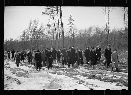 Untitled photo, possibly related to: Winter at Berwyn project, Berwyn, Maryland