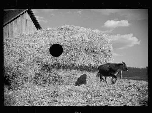 Untitled photo, possibly related to: Dairy barn and outside haystack, Chattanooga, Tennessee