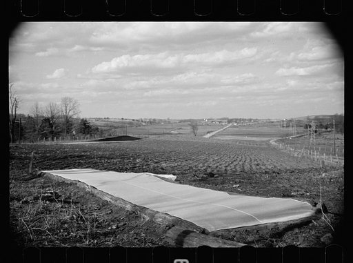 Untitled photo, possibly related to: Dairy barn and outside haystack, Chattanooga, Tennessee