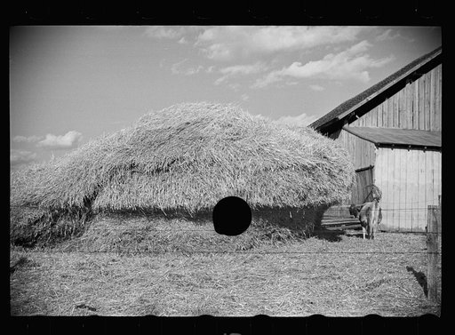Untitled photo, possibly related to: Dairy barn and outside haystack, Chattanooga, Tennessee