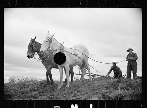 Untitled photo, possibly related to: Getting fields ready for spring planting, North Carolina