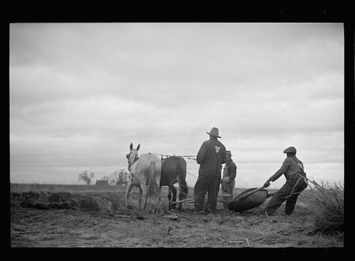 Getting fields ready for spring planting, North Carolina