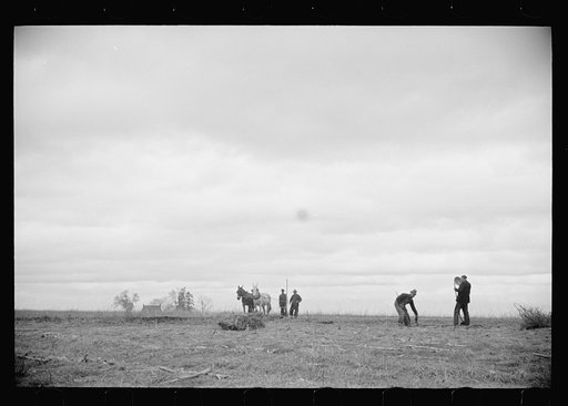 Untitled photo, possibly related to: Getting fields ready for spring planting, North Carolina