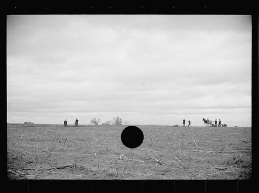 Untitled photo, possibly related to: Getting fields ready for spring planting, North Carolina