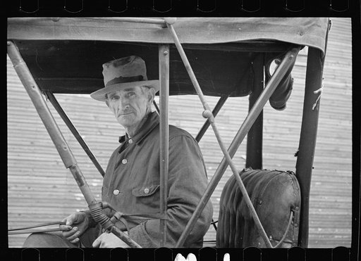 Native and buggy, Hoffman, North Carolina
