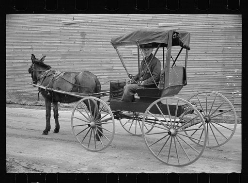 Native and buggy, Hoffman, North Carolina