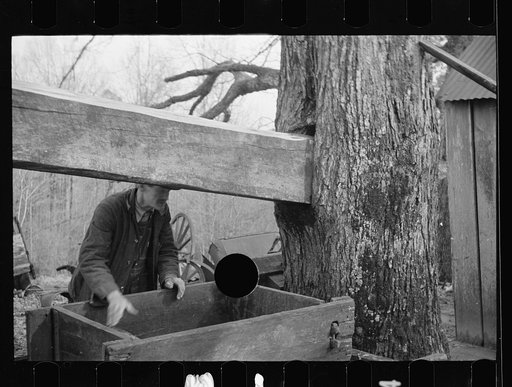 Untitled photo, possibly related to: Demonstrating homemade cider press at Crabtree Recreational Demonstration Area near Raleigh, North Carolina