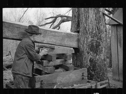 Demonstrating homemade cider press at Crabtree Recreational Demonstration Area near Raleigh, North Carolina