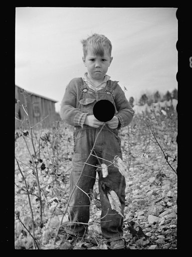 Untitled photo, possibly related to: Cotton field showing rock-strewn soil and character of land at Crabtree Creek Recreational Project near Raleigh, North Carolina