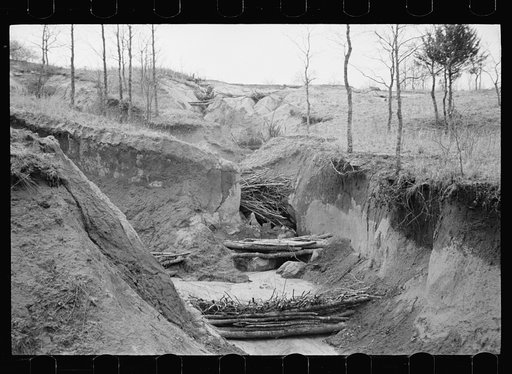 Untitled photo, possibly related to: Erosion control on Natchez Trace Project near Lexington, Tennessee