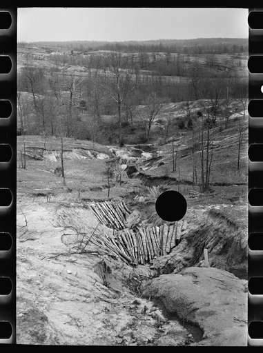 Untitled photo, possibly related to: Erosion control on Coalins Forest and Game Reservation, between the rivers section of western Kentucky